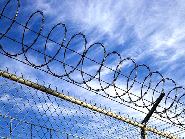 Razor Wire (Concertina Wire)